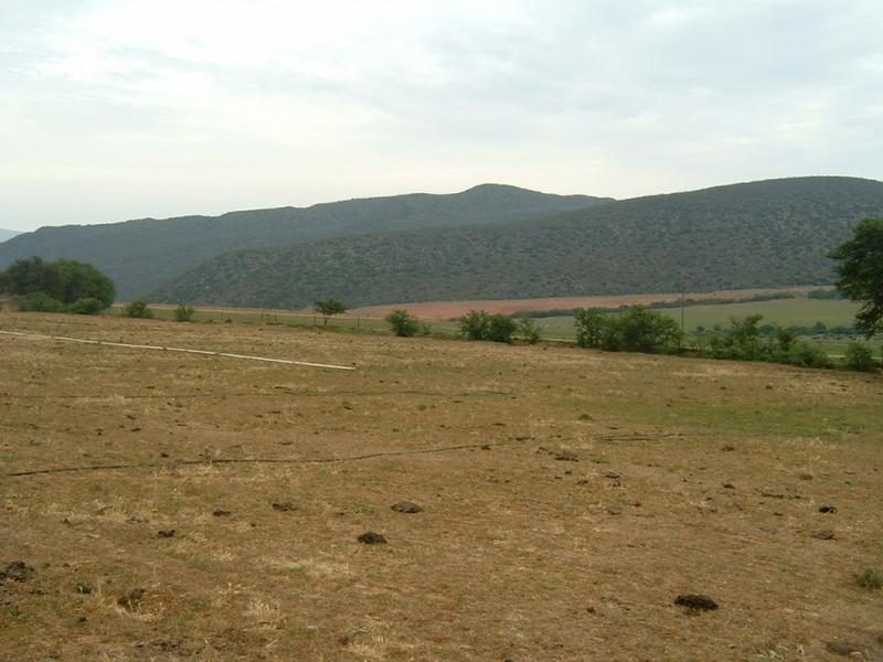 0 Bedroom Property for Sale in De Rust Western Cape